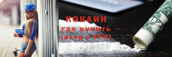 прущие грибы Вязники