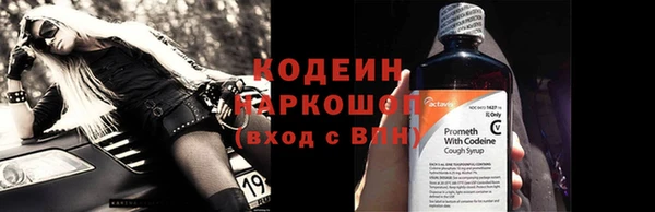 прущие грибы Вязники
