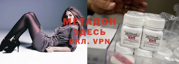 прущие грибы Вязники