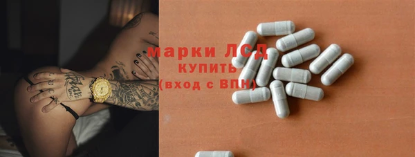 прущие грибы Вязники