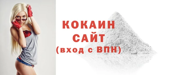 прущие грибы Вязники