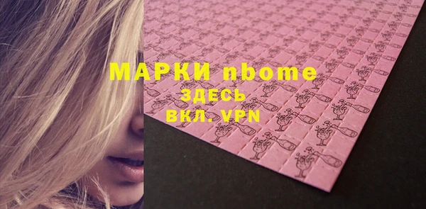 прущие грибы Вязники