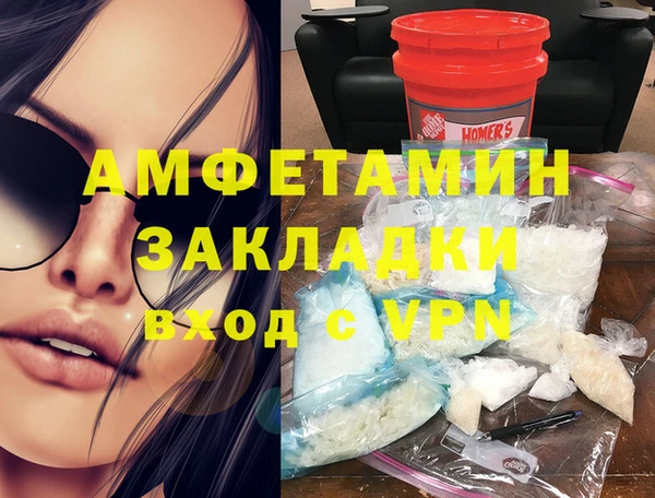 прущие грибы Вязники