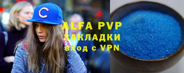 прущие грибы Вязники