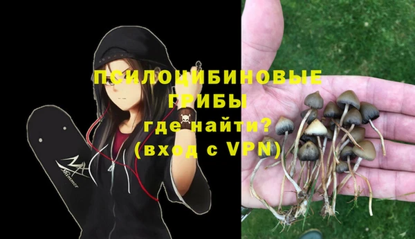 прущие грибы Вязники