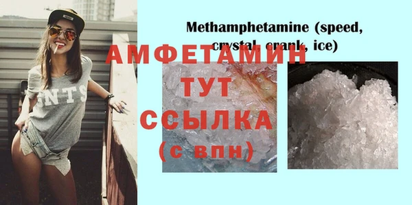 прущие грибы Вязники