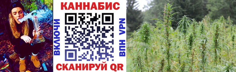 omg онион  Елец  МАРИХУАНА сатива  наркотики 